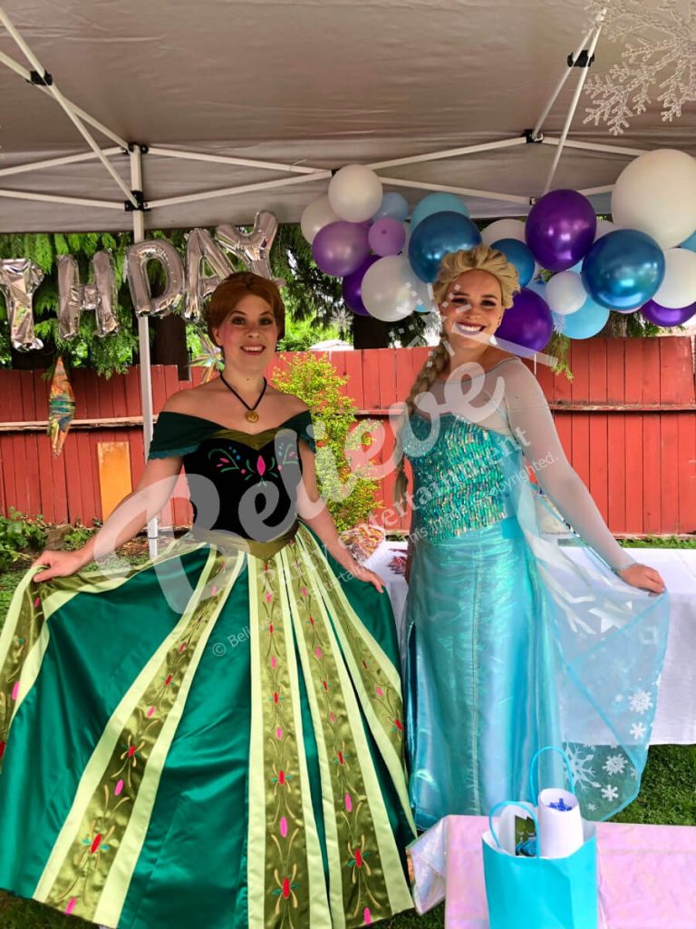 Princess Snow Queen Birthday Parties
